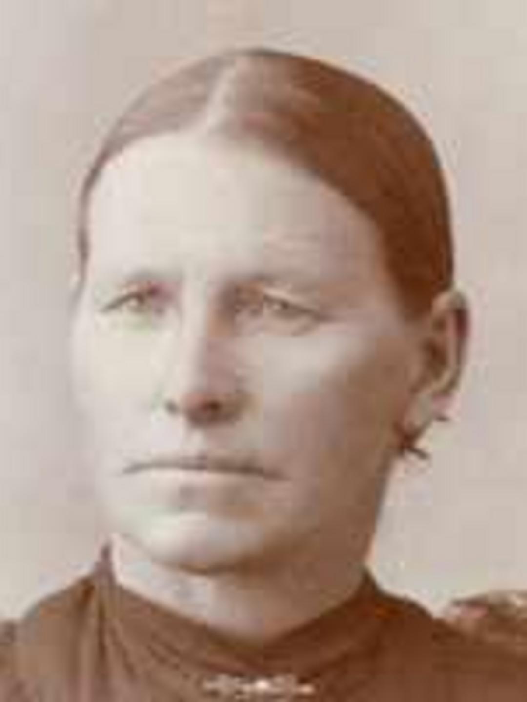 Saloma Leanna Hammon (1845 - 1913) Profile